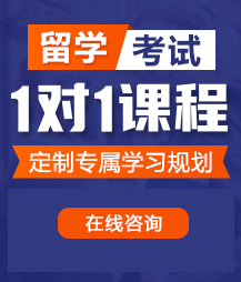 骚b被插在线观看留学考试一对一精品课